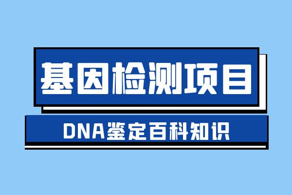 DNA转录酶和RNA聚合酶的区别（RNA聚合酶的区别）