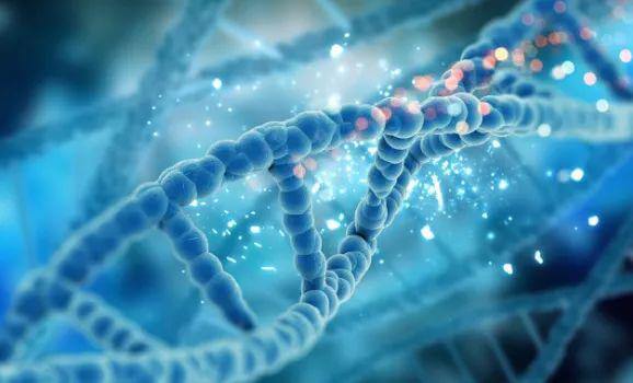 四川DNA亲子鉴定需要什么样本